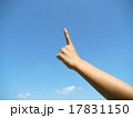 No.1ポーズ 17831150