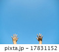 万歳ポーズ 17831152