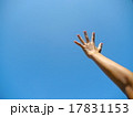 届けのポーズ 17831153