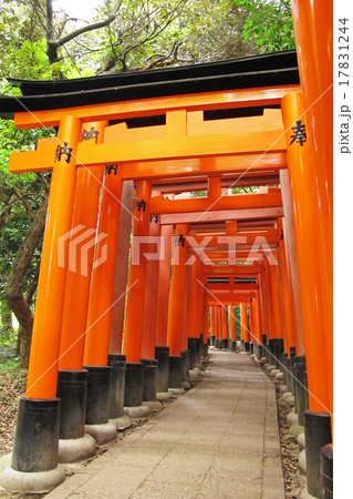 京都の東伏見稲荷の鳥居(2014年) 京都の東伏見稲荷の鳥居(2014年) 17831244