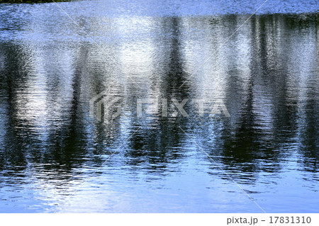 Reflection of trees in water 17831310