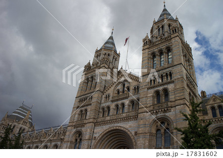 ロンドン自然史博物館 17831602