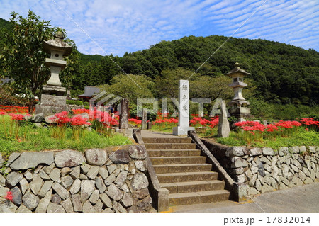 常楽寺の録事尊 常楽寺の録事尊 17832014