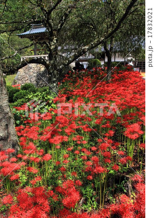 常楽寺の録事尊 17832021