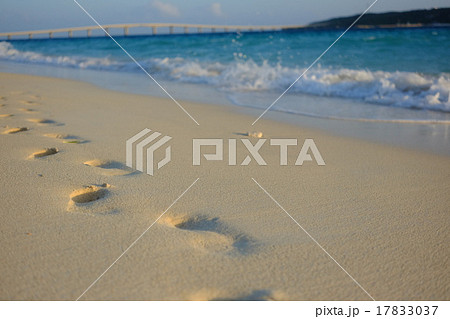 砂浜に足あと 17833037