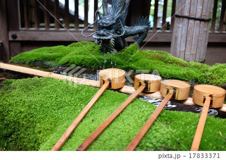 苔に覆われた手水舎 苔に覆われた手水舎 17833371