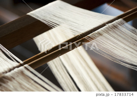 糸を紡ぐ 17833714