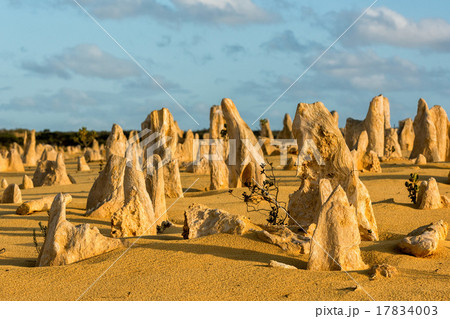 pinnacles park in west australia pinnacles park in west australia 17834003