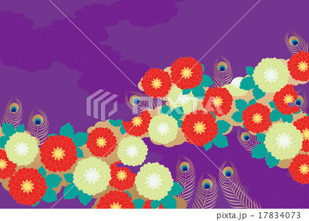 背景素材-和、菊帯イメージ1 背景素材-和、菊帯イメージ1 17834073