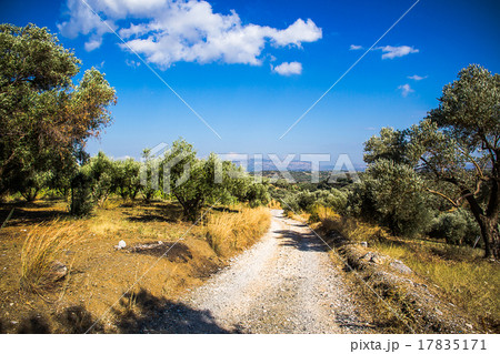 Curvy mountain road in Mediterranean mountains 17835171