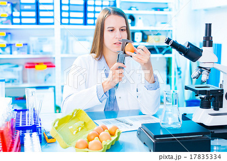 Quality control expert inspecting  17835334