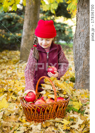 little girl in autumn park little girl in autumn park 17836700