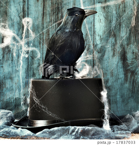 crow on a top hat in a dismal scene 17837033
