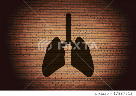 Human lung. Flat modern web button  and space for 17837512
