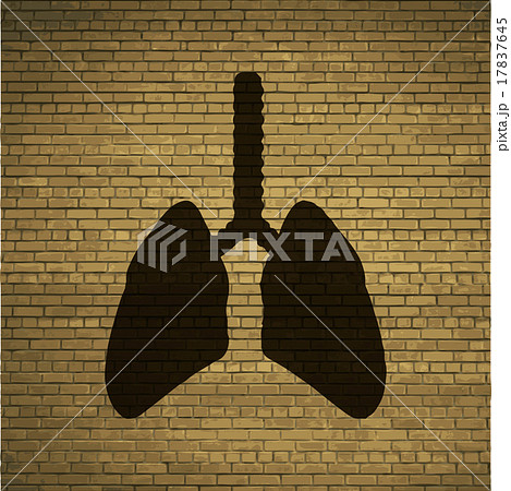 Human lung. Flat modern web button  and space for 17837645