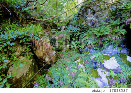 荒船風穴冷風 荒船風穴冷風 17838587
