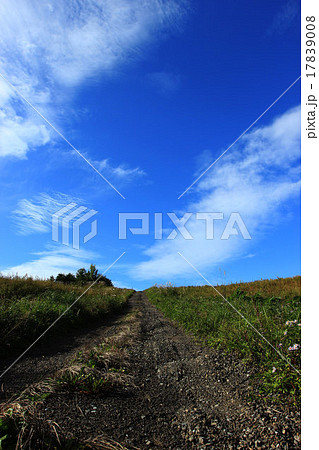 空へ続く道 空へ続く道 17839008