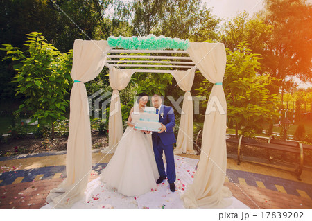 Wedding couple  17839202