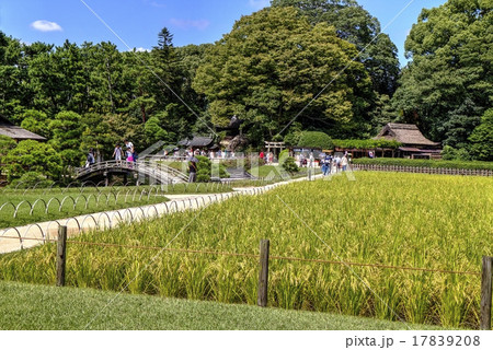 後楽園　岡山城 17839208