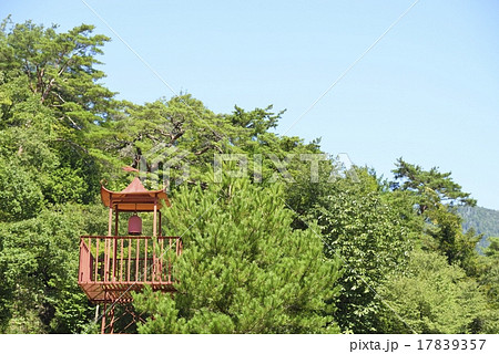 天白公園の火の見櫓 17839357