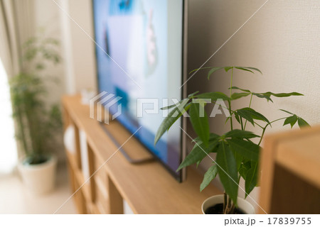 テレビのある部屋 17839755