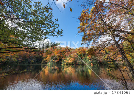 青森県十二湖の秋 17841065
