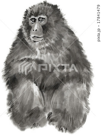 猿 水墨画 座るのイラスト素材