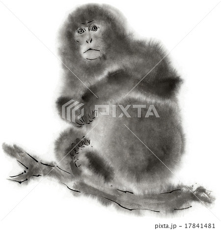猿 水墨画 枝の上 座るのイラスト素材