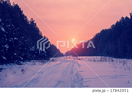 Sunrise over snowy road in the forest 17842051