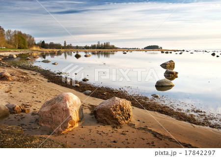 quiet morning seacoast in springtime 17842297