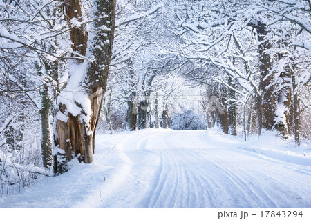 Alley in snowy morning 17843294