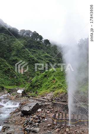 渋の地獄谷噴泉 17843606
