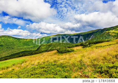 summer landscape summer landscape 17843668