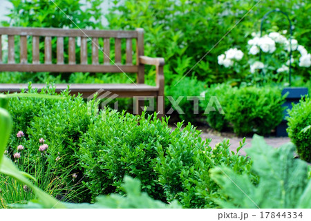 summer garden 17844334