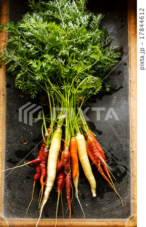 colorful carrots 17844612