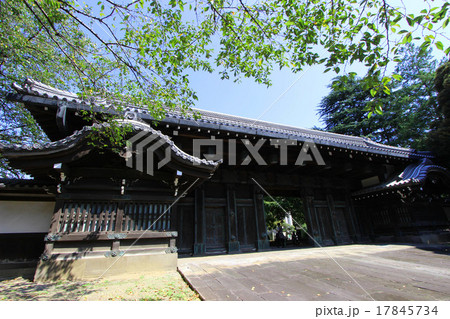 旧因州池田屋敷表門 旧因州池田屋敷表門 17845734
