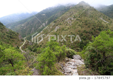 別子銅山の歓喜坑から銅山越へ向かう「牛車道」（銅山越側から見る） 17845797