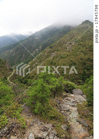 別子銅山の歓喜坑から銅山越へ向かう「牛車道」（銅山越側から見る） 17845798