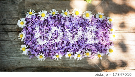 love letters made of lilac flowers love letters made of lilac flowers 17847010