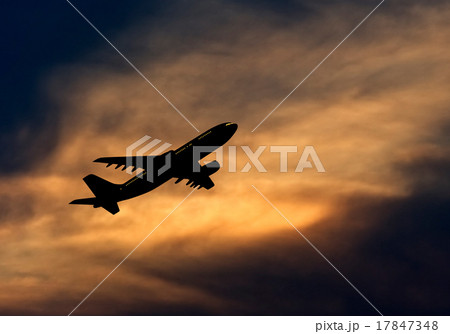 Plane in Sky 17847348