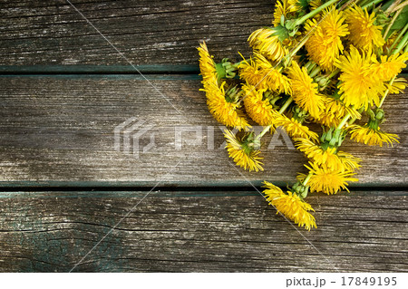 Dandelions on wooden background 17849195