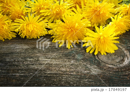 Dandelions on wooden background 17849197