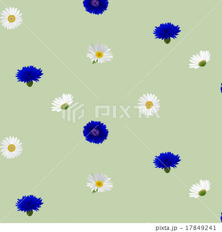 Seamless pattern with flowers camomile cornflowers 17849241