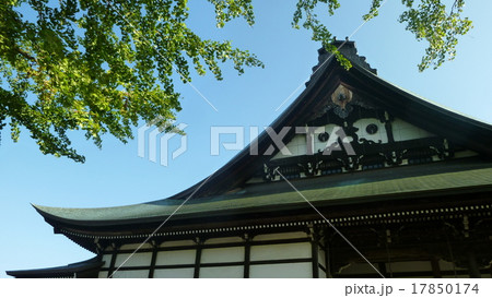 真宗寺と秋の空 17850174