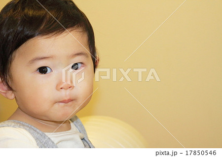 赤ちゃん(９か月） 17850546