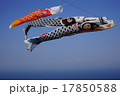 鯉のぼり 17850588