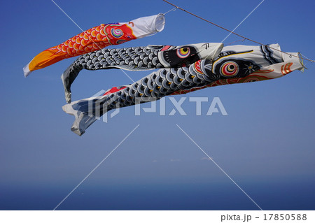 鯉のぼり 17850588