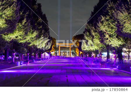 靖国神社ライトアップの写真素材