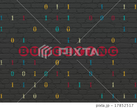 Finance concept: Budgeting on wall background 17852517