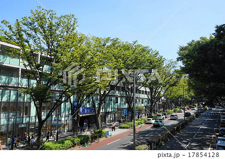 9月都市の風景855表参道 17854128
